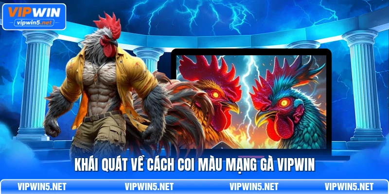 Khái quát về cách coi màu mạng gà VIPWIN