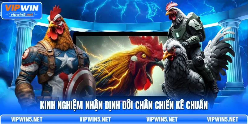 Kinh nghiệm nhận định đôi chân chiến kê chuẩn