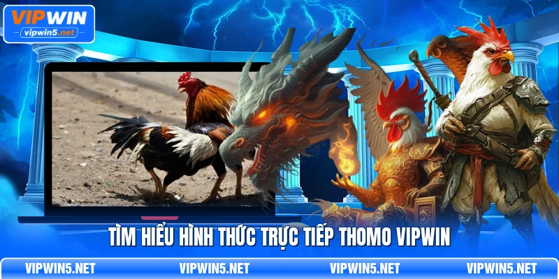 Tìm hiểu hình thức trực tiếp thomo VIPWIN