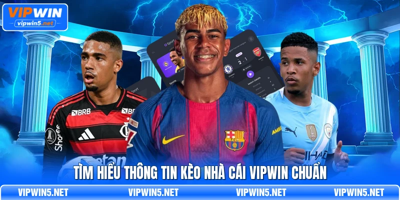 Tìm hiểu thông tin kèo nhà cái VIPWIN chuẩn